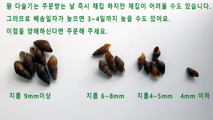 ´ëÇü ¿Õ ´Ù½½±â Áö¸§ 9mm ÀÌ»ó Å©±âºñ±³